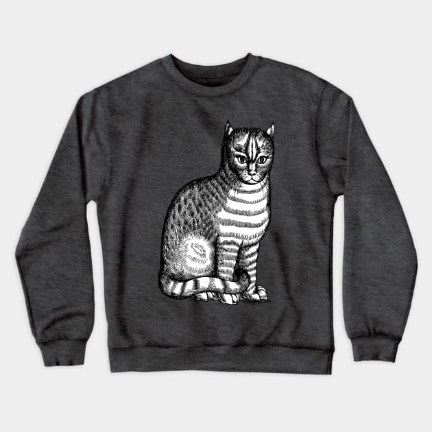 Sixteenth Century Tabby Cat or Brindle Cat Crewneck Sweatshirt by Pixelchicken